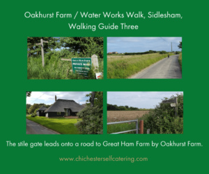 No3-Road-to-Great-Ham-farm-300x251 A 2-hour dog walk locally from Chichester Self Catering