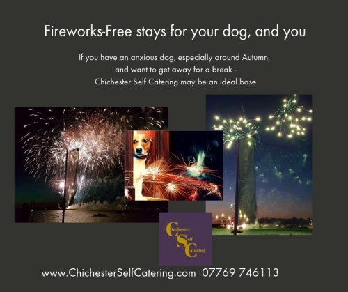 Fireworks Free stays for your dog, and you